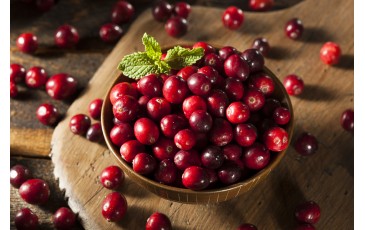 Care sunt beneficiile merișorului canadian pentru organism?