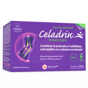 6 x Celadrin™ Extract Forte
