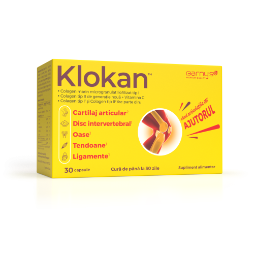 Barny’s® Klokan™