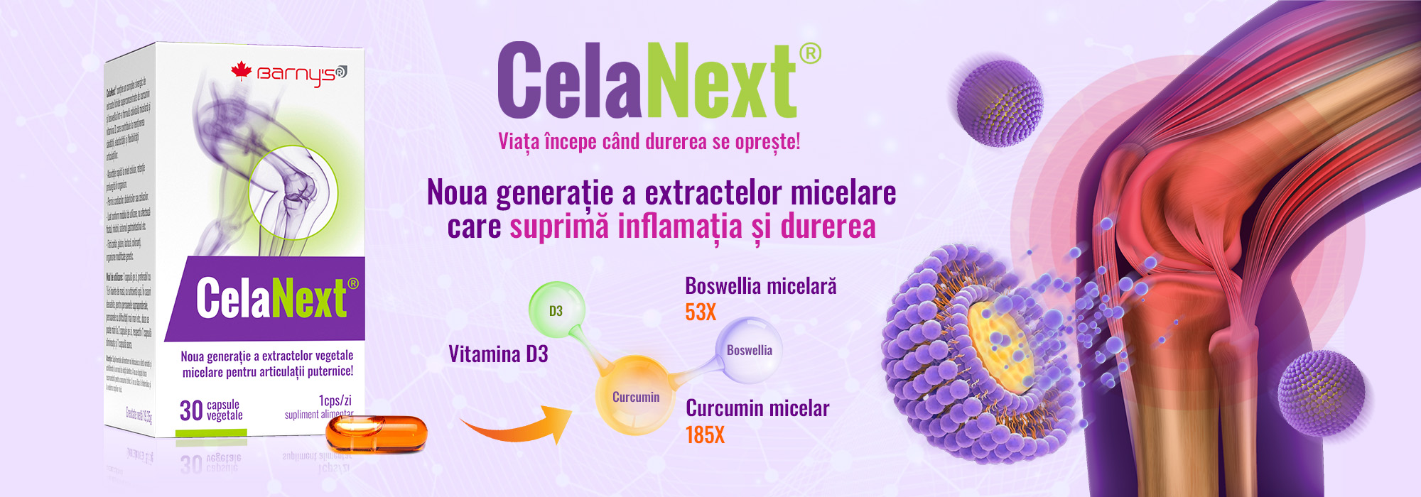 CelaNext - Noua generatie a extractelor micelare care suprima inflamatia si durerea!