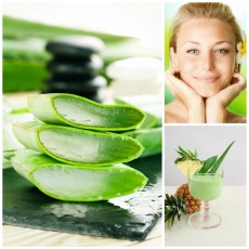 Aloe vera pentru frumusete si sanatate