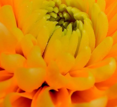 Vino să descoperi soluţii inovatoare și naturale pentru sănătatea ta, la o nouă ediţie a expoziţiei Body Mind Spirit!